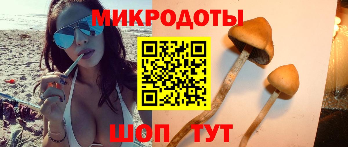 Псилоцибиновые грибы Psilocybine cubensis  Вход с VPN  Гудермес 
